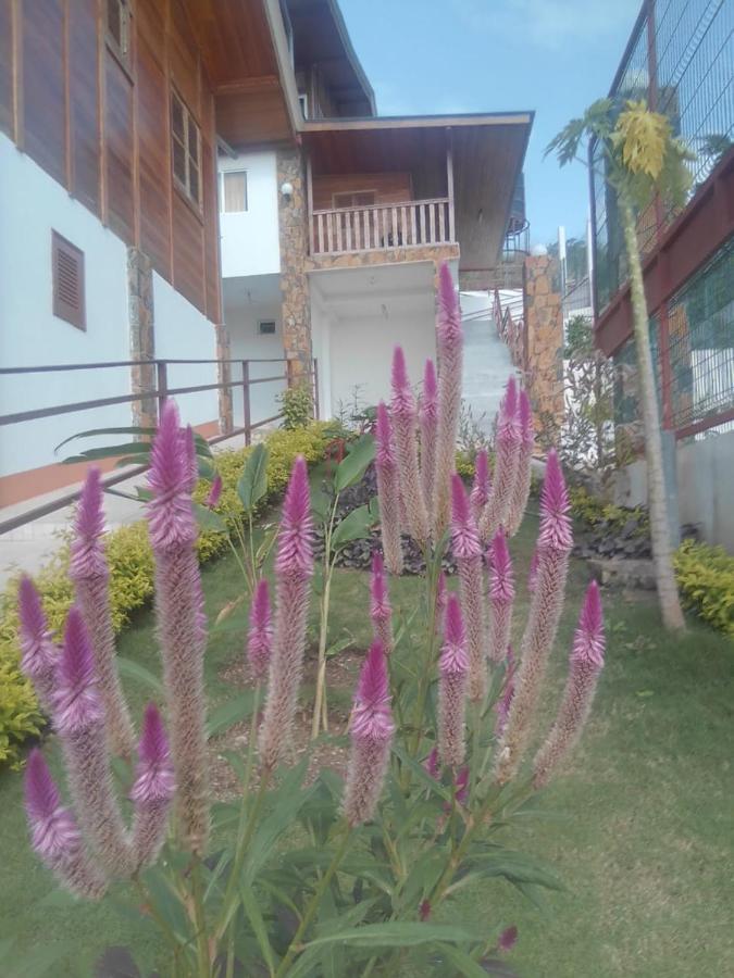Domus Guesthouse Santana Екстериор снимка